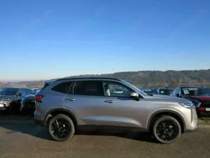 GWM Others Luxury Bild 3