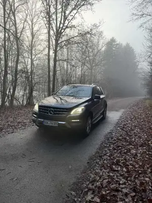 Mercedes-Benz ML 500 4MATIC (BlueEFFICIENCY) 7G-TRONIC