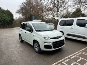 Fiat Panda Bild 2