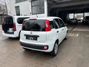 Fiat Panda Bild 3