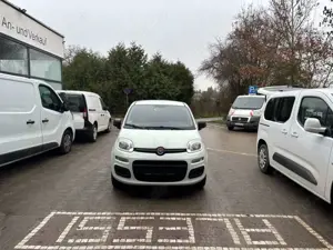 Fiat Panda Bild 4