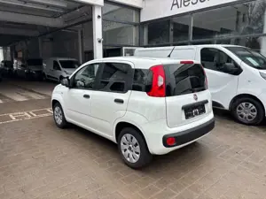 Fiat Panda Bild 5