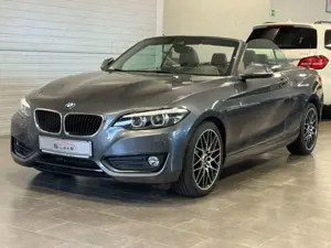 BMW 218 i Advantage Keyless/LED/Vollleder/Harman