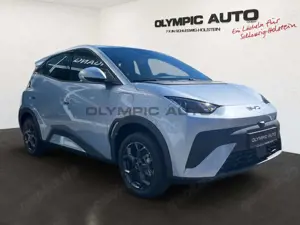 BYD Dolphin Dolphin Surf Boost 43kWh KAMERA CARPLAY NAVI ALU Bild 2