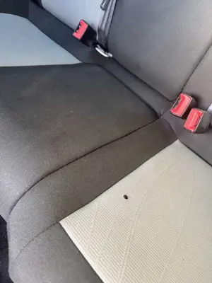 SEAT Ibiza 1.2 12V Reference Bild 4