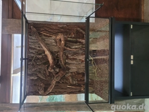 Exo Terra mit Rückwand