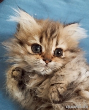  Hallo! Ich glaube, ich suche genau dich! 