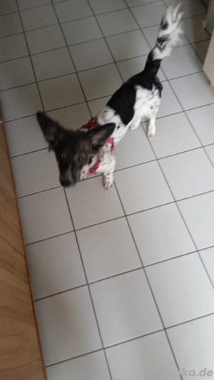 Privater Anbieter neues jahr2026