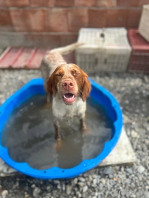 Louise, ca. 2 Jahre alt Bild 3