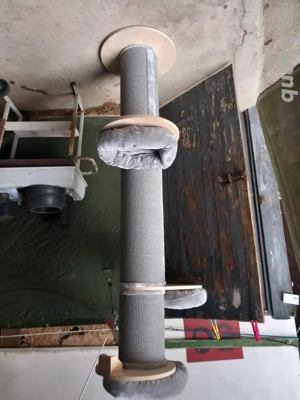 Katzenkratzbaum groß