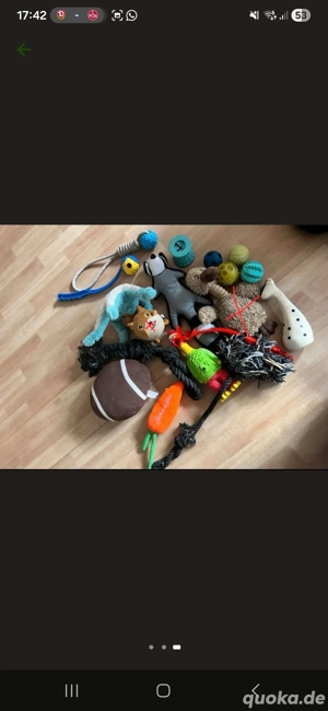 Hundespielzeug Paket 