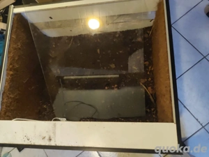 Verschenke Hochterra mit Falltür Glasscheibe 