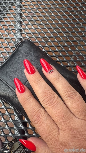 Suche Sklaven den ich erziehen kann