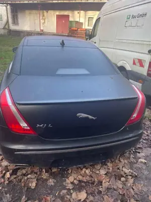 Jaguar XJ XJ 3.0 V6 Diesel S Portfolio Bild 3