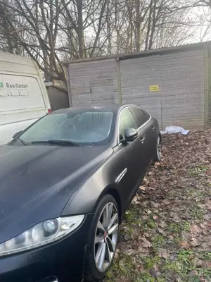Jaguar XJ XJ 3.0 V6 Diesel S Portfolio Bild 4