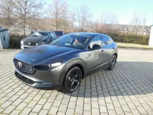 Mazda CX-30 2.5 e-SKYACTIV G 140PS Nagisa Sitzbezüge Terrakott