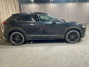 Mazda CX-30 G140 AUTO HOMURA*VOLL-LED*CARPLAY* Bild 4