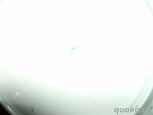 Dresdner Durchbruchteller Preisänderung von 50  auf 40  Bild 4