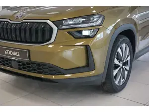 Skoda Kodiaq 2.0 TDI Selection 4x4 DSG AHK Matrix Kamera 19'' L Bild 2