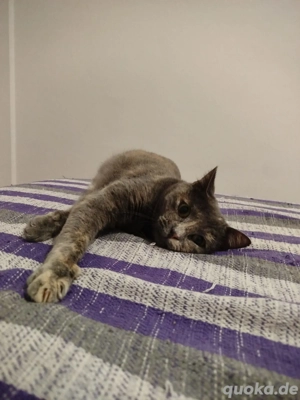 Maya ist auf der Suche