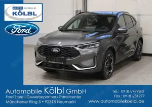Ford Kuga 2.5l PHEV ST-Line X, 360°KAMERA/LMR19''