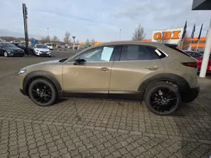 Mazda CX-30 2.5L 140PS Homura, sofort Bild 3