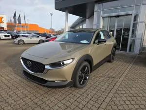 Mazda CX-30 2.5L 140PS Homura, sofort Bild 2