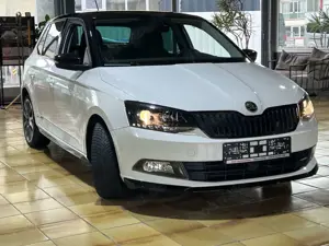 Skoda Fabia R5 125 PS Bild 2
