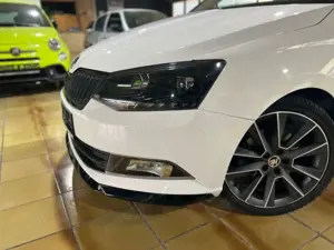 Skoda Fabia R5 125 PS Bild 5