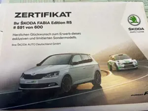 Skoda Fabia R5 125 PS Bild 3