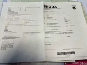 Skoda Fabia R5 125 PS Bild 4