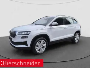 Skoda Karoq 1.5 TSI DSG Selection LED RFK PDC
