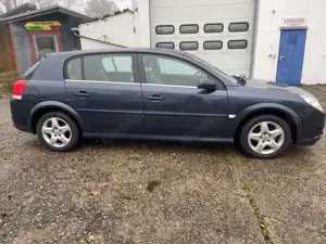 Opel Signum Edition Leder Navigation Bild 3