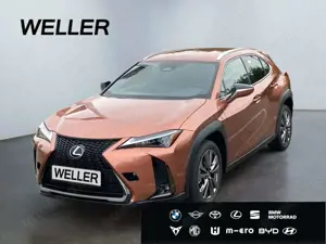 Lexus UX 300h F SPORT Design*LED+SHZ*Kamera*CarPlay*