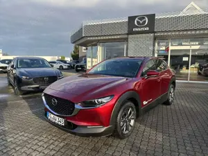Mazda CX-30 5WGN 2.0L e-SKYACTIV X 186ps 6AT AWD Takumi BLOP