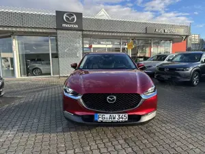 Mazda CX-30 5WGN 2.0L e-SKYACTIV X 186ps 6AT AWD Takumi BLOP Bild 2