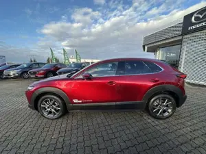 Mazda CX-30 5WGN 2.0L e-SKYACTIV X 186ps 6AT AWD Takumi BLOP Bild 4