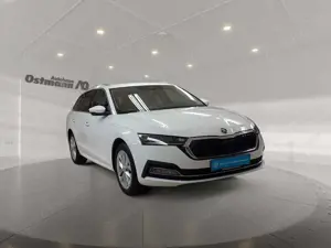 Skoda Octavia Bild 5