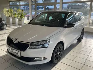 Skoda Fabia Style *LED*Navi*Kamera*Tempo*Sitzheizung*