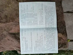 Volkswagen Touran 1.6 TDI DPF Cup Bild 2