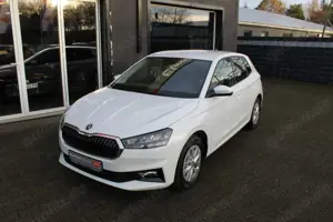Skoda Fabia Selection 1.0 TSI 85kW/116PS, DSG, 5J/1000