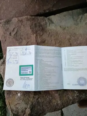 Volkswagen Touran 1.6 TDI DPF Cup Bild 4