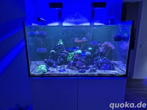 Auflösung Meerwasseraquarium  Aqua medic 375xd 