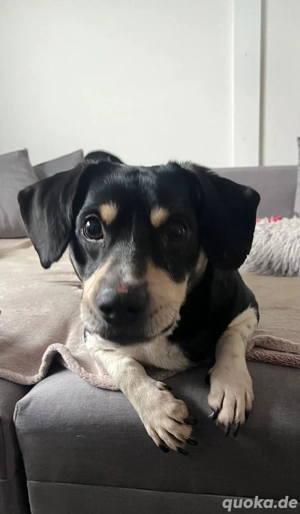 Kleiner Clown Nando sucht seine Lieblingsmenschen 