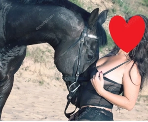 Der exclusive Reitunterricht für die Frau