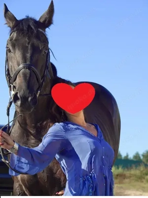 Der exclusive Reitunterricht nur für DICH