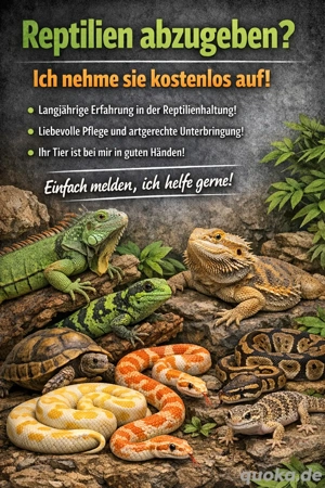 Reptilien abzugeben? Ich unterstütze euch verantwortungsvoll