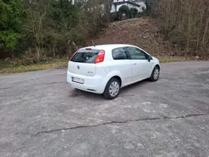 Fiat Punto Punto 1.2 8V Active Clima Bild 5