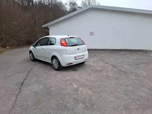 Fiat Punto Punto 1.2 8V Active Clima Bild 4