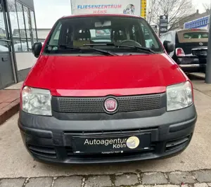 Fiat Panda 1.2 8V Active Bild 2